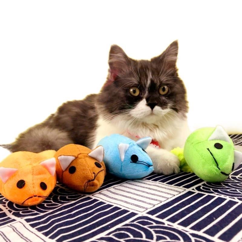 Interactive Long Tail Mouse Teaser Cat Toy Funny Pet Training